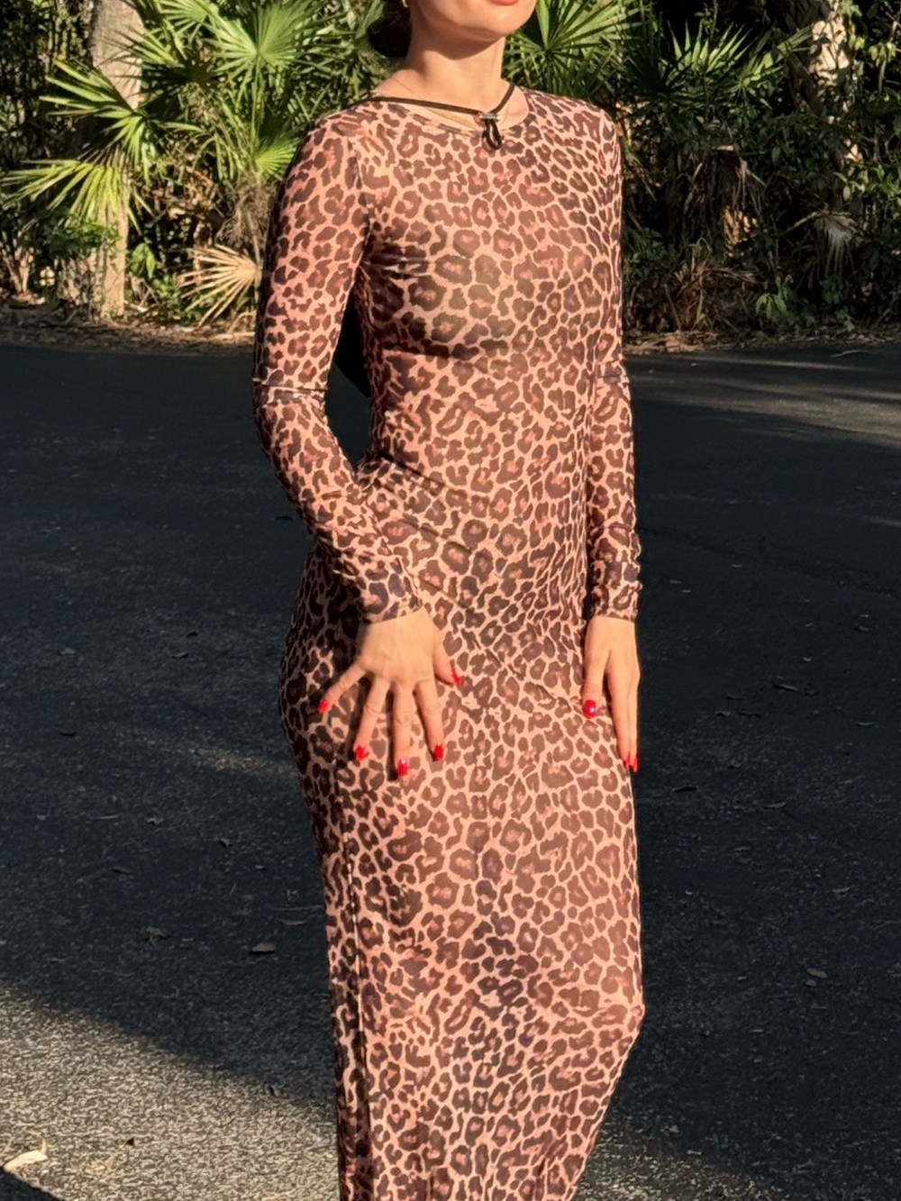 Leopard Print Long Sleeve Maxi Dress - Brown